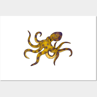 Blue ringed octopus Posters and Art